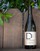 2019 Pinot Grigio - View 3